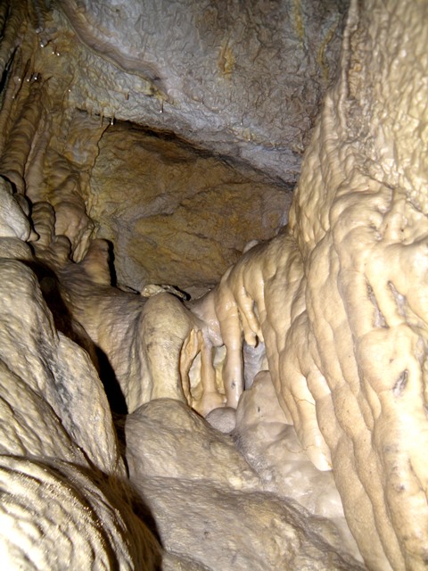 P6190131